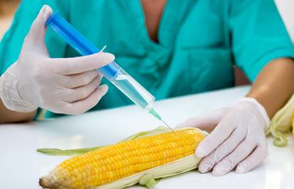 Jela s DNK potpisom: Tajna borba protiv krivotvorene hrane