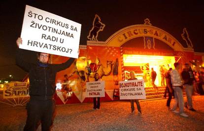 Prijatelji životinja: Cirkus sa životinjama krši zakon!