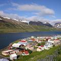 Island nudi turistima 2 tjedna s besplatnim korona testiranjima