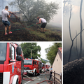 FOTO Satima se borili s požarom na Hreljinu: 56 vatrogasaca s 21 vozilo ugasilo veliku buktinju