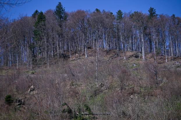 Zagreb: Posljedice olujnog nevremena na Sljemenu