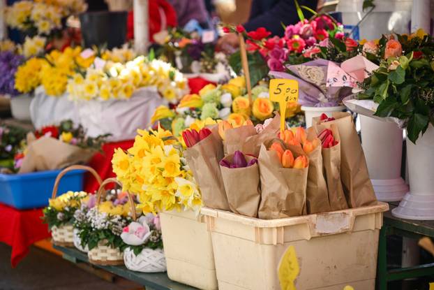 Zagreb: Velika ponuda i potražnja cvijeća za Dan žena