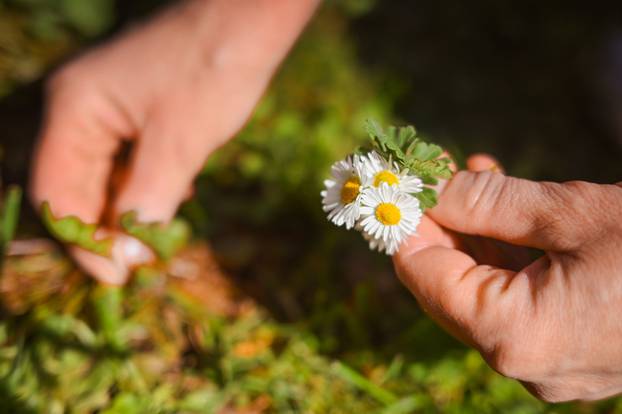 Zagreb: Tradicionalno bojanje uskršnjih jaja