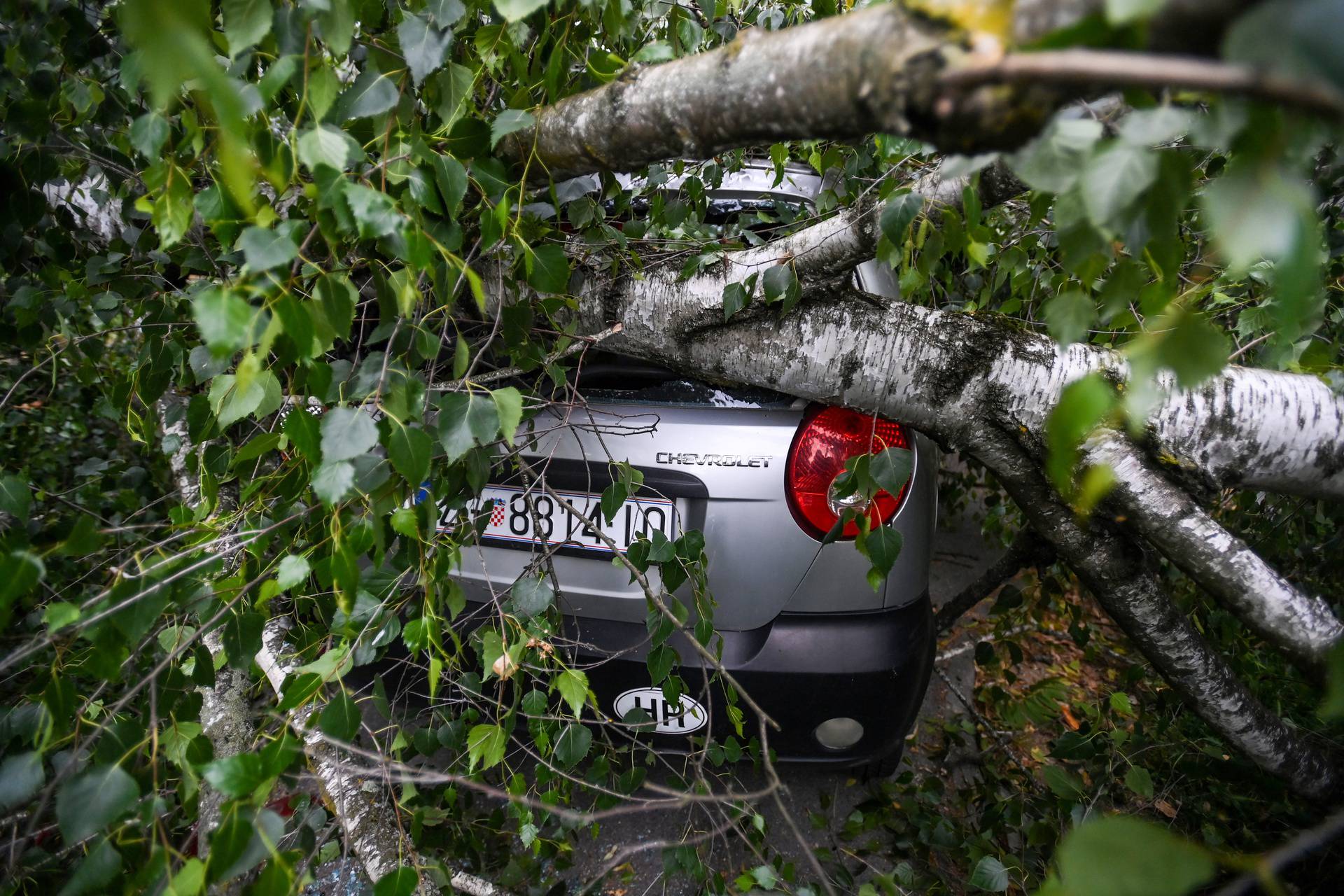 Zagreb: Olujni vjetar srušio stablo na cestu, tri automobila oštećena 