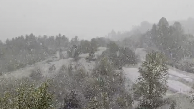 VIDEO Snijeg zabijelio i Gorski kotar: 'Jučer smo bili u kratkim rukavima, sad u zimskoj jakni!'
