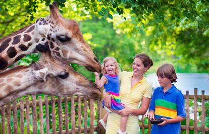Pođite u šetnju zoološkim vrtom i upoznajte zanimljive životinje