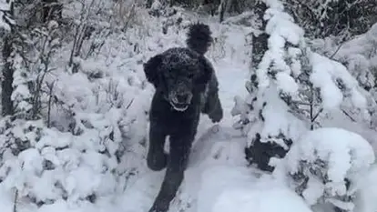 Najluđe mozgalice i optičke varke: Mozak vam kaže jedno, oči drugo. Kome ćete vjerovati?