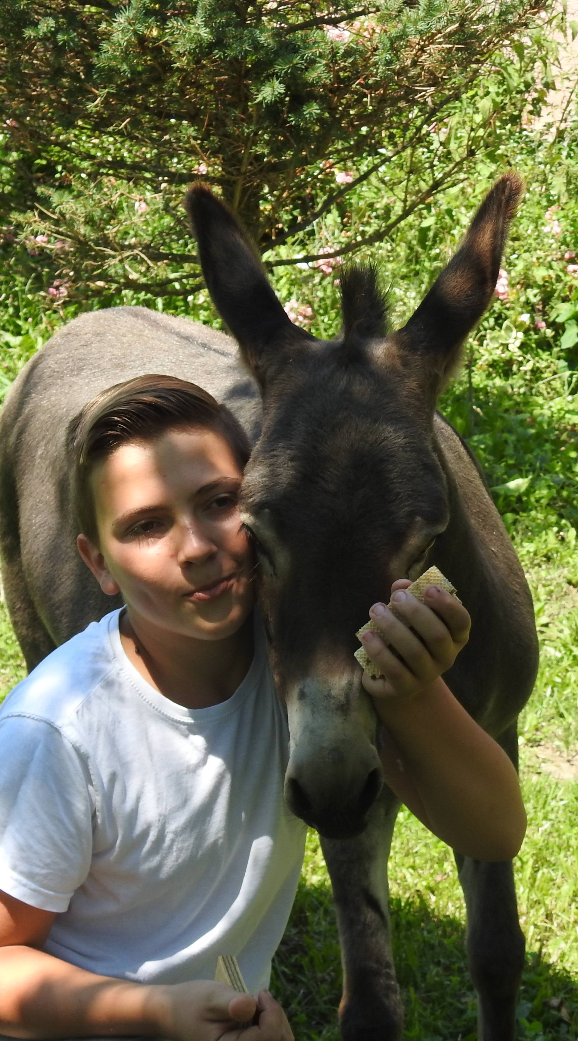 Mladi poduzetnik:  Lovro kupio je magaricu novcem od krizme
