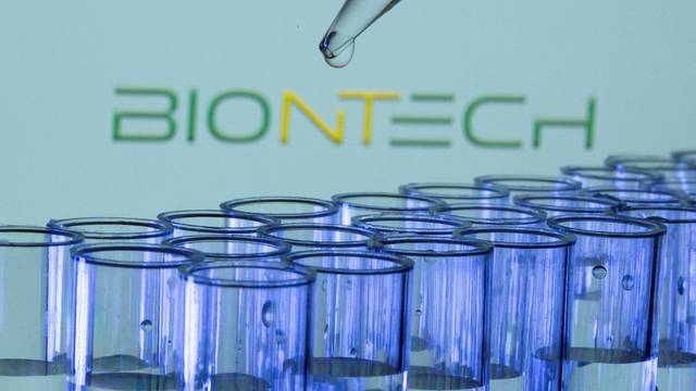 FILE PHOTO: Test tubes are seen in front of a displayed Biontech logo in this illustration