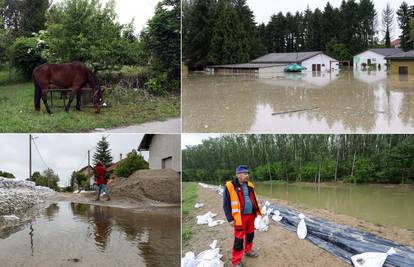 Spašeni konji su na sigurnom u Topolovcu, sanacija šteta nakon poplava će dugo trajati...