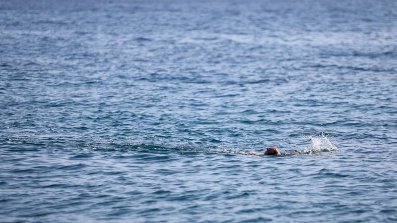 Fekalije u moru: Kupanje na plaži Tehnička radiona u Pločama zabranjeno...