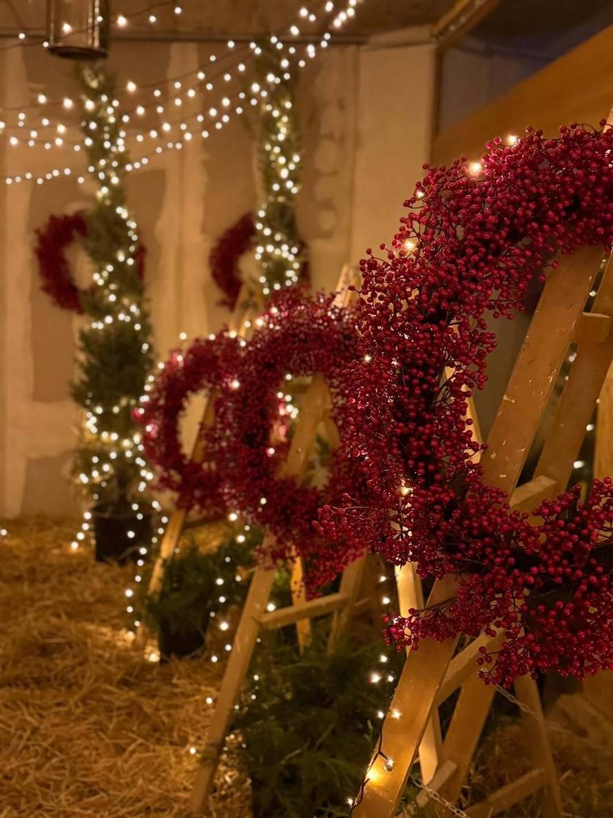 DOZNAJEMO Severina je otkrila gdje seli: Ovo su obrisi novog doma, tamo već odvela i majku