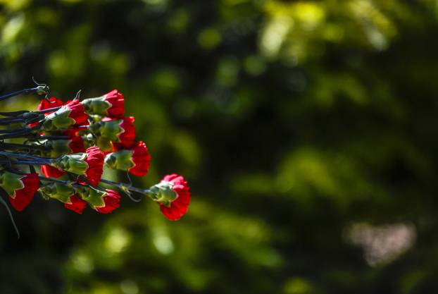 Sisak: Obilježavanje Dana antifašističke borbe u spomen-parku Brezovica