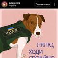 Veliki junaci nisu uvijek veliki. Ukrajinski pas Patron postao je velika zvijezda na Instagramu