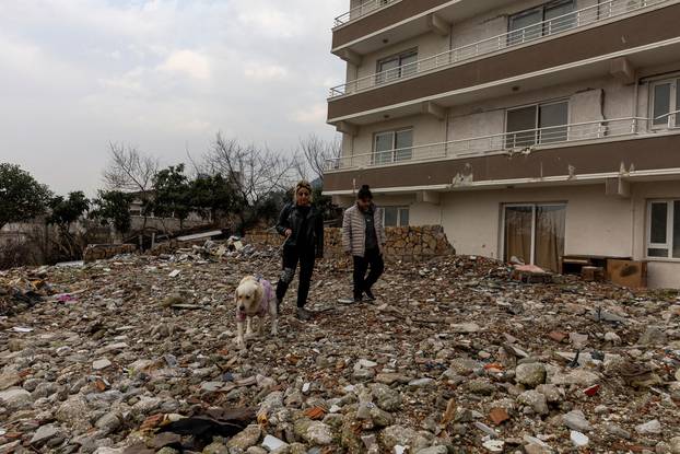 Bufy, the dog that survived the earthquake in Turkey, gets used to his new family