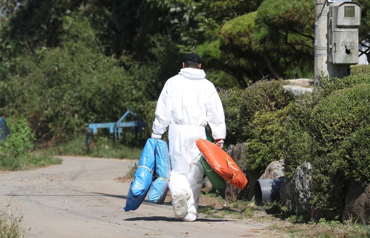 Svinjska kuga u Mađarskoj: Na pet svinja otkrili opasnu bolest