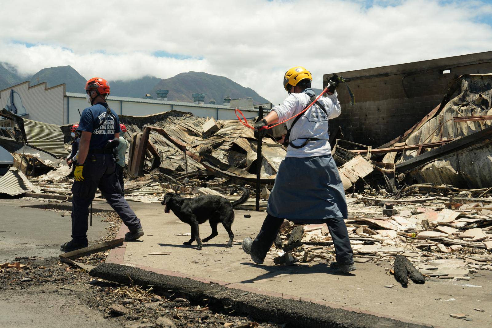 Members of FEMA Urban Search and Rescue teams comb through destroyed Lahaina neighborhoods