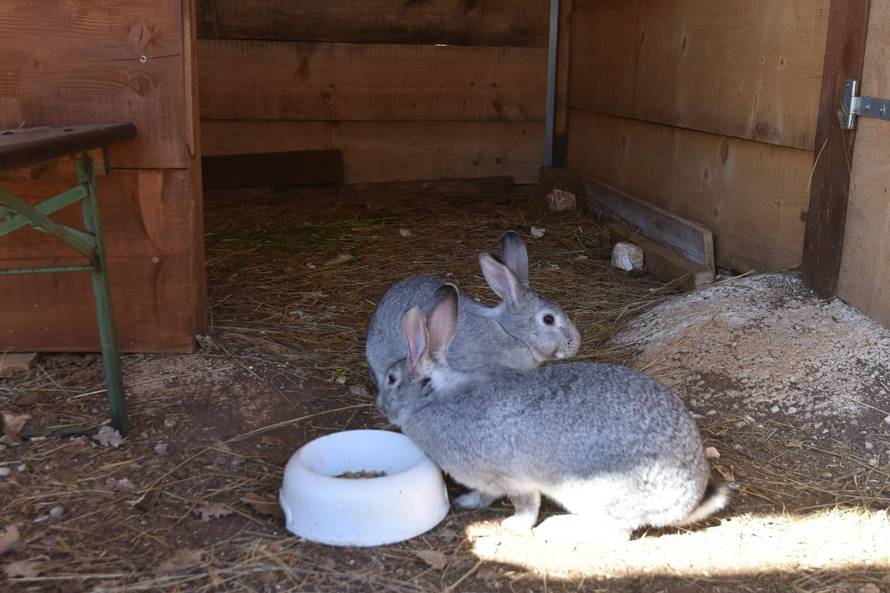 Spojila ih ljubav prema prirodi: Doći će po nju na bijelom konju