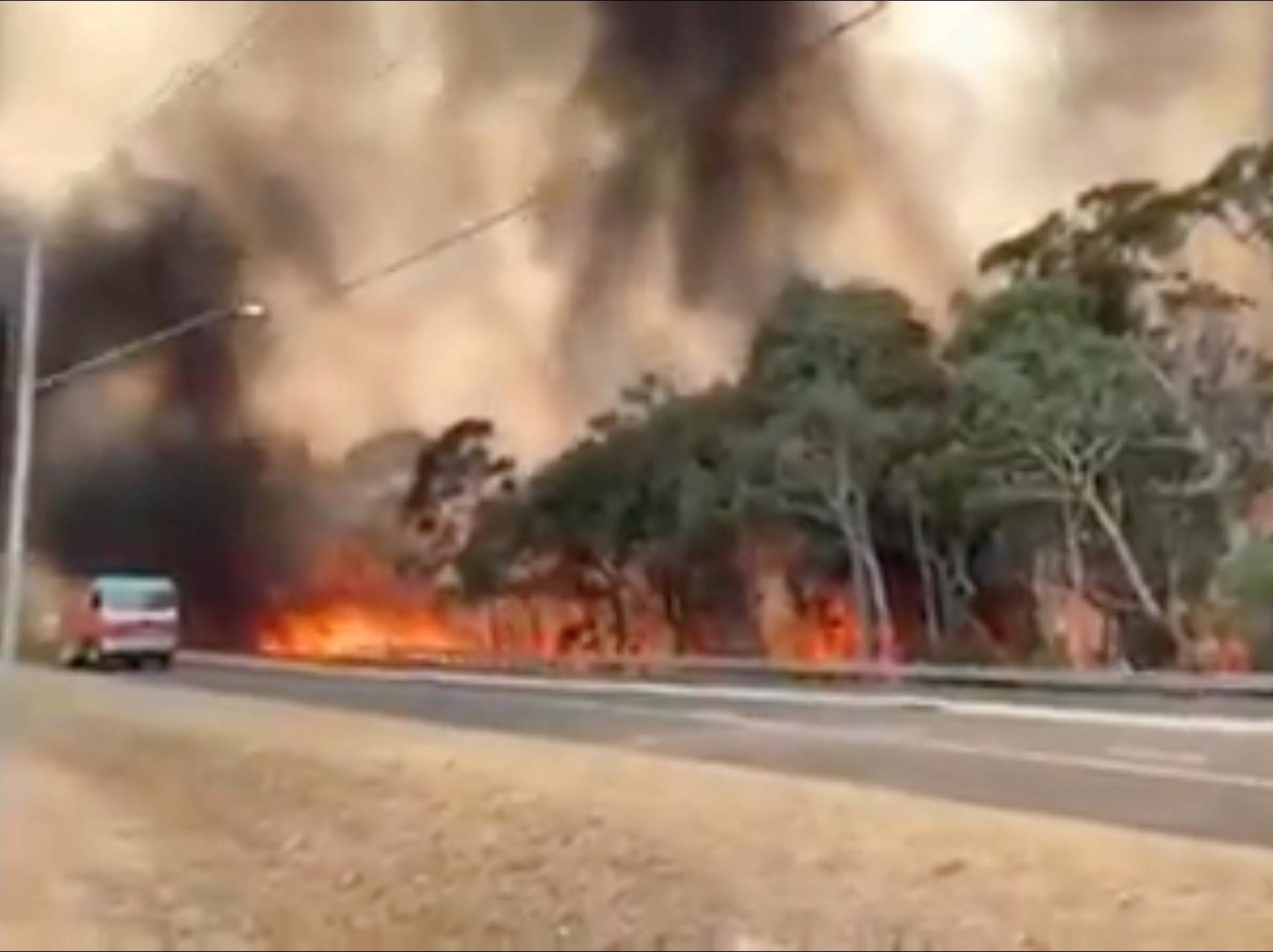 Flames engulf a row of trees at the side of a road in New South Wales, Australia