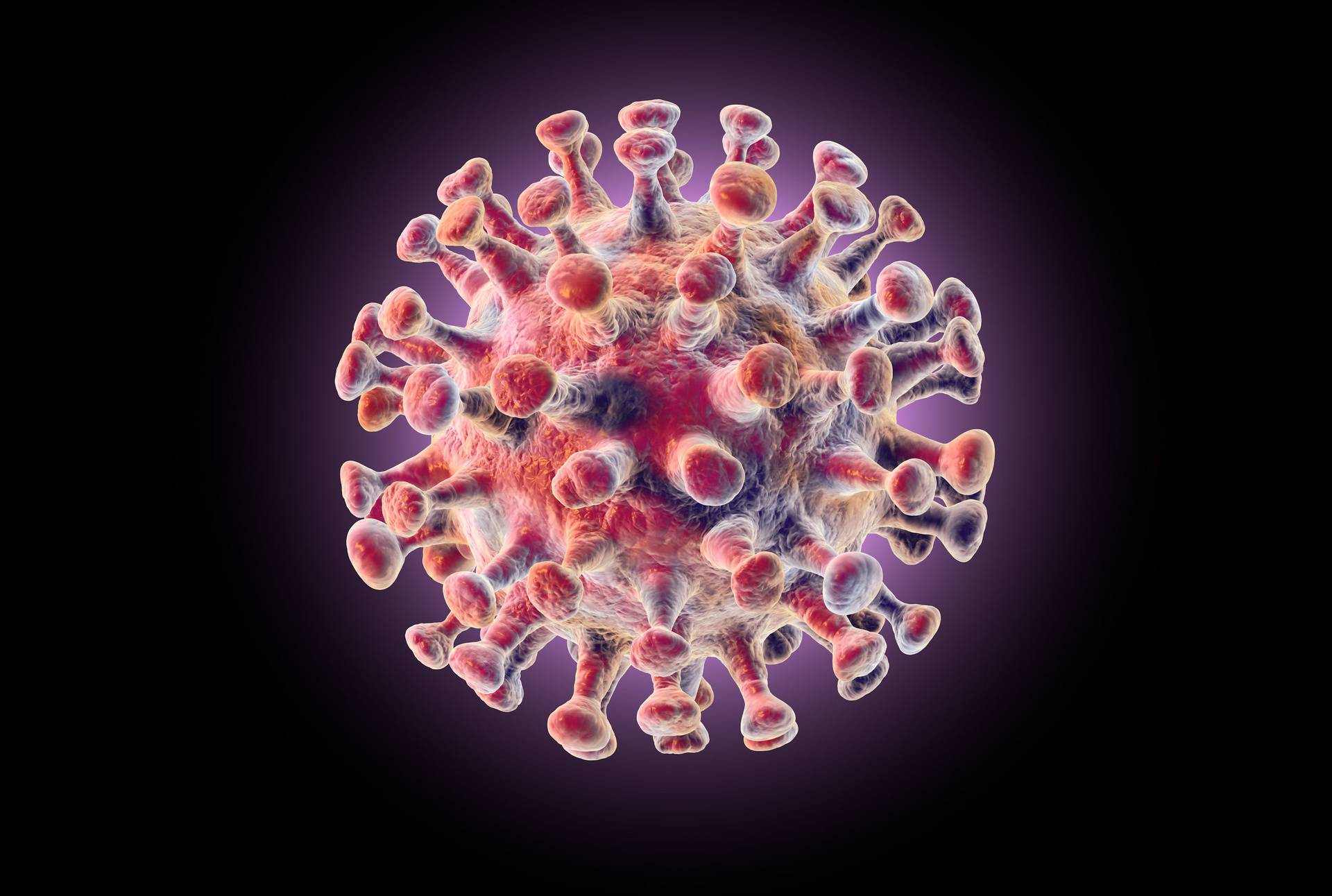 Corona virus, MERS virus, Middle-East Respiratory Syndrome, 3D i