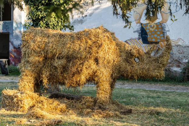 Kozjak : Održan 20. Slama festival - Obitelj 