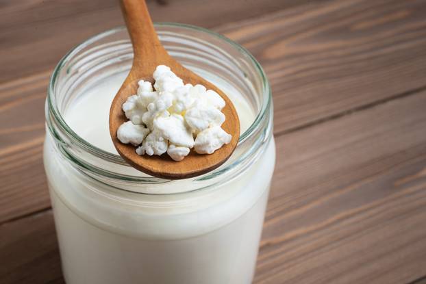 Milk kefir grains on wooden spoon and jar of kefir