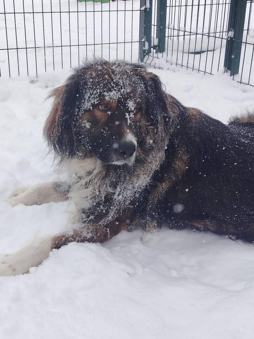 Općinska komunalka sama 'izlopatala' snijeg sa staze: 'Nema nikakve drame u tome'