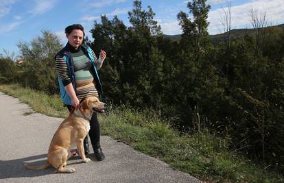 Panika u Drnišu: 'Zaskočio me vuk iz grma i htio me rastrgati'