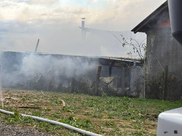 FOTO Strašne scene iz Sesveta: Požar u hali, diže se gusti dim