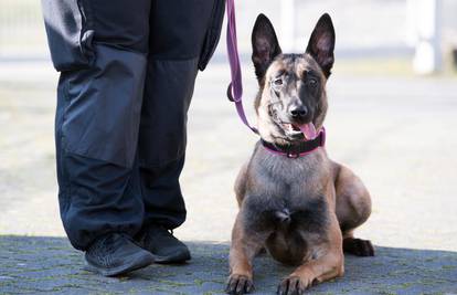 Strava u Austriji: Vojni su psi rastrgali i ubili vodiča (31)