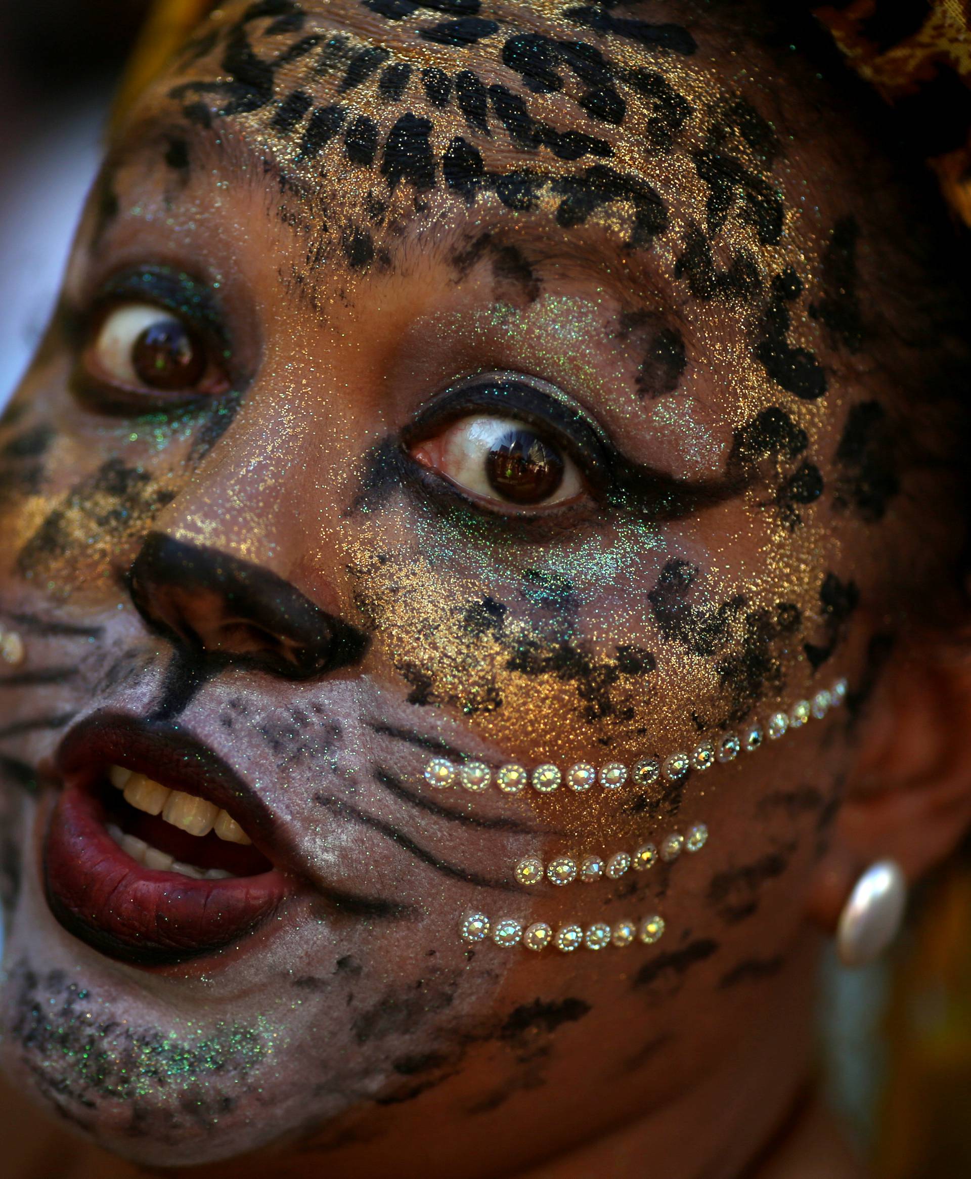 A reveller takes part in the annual block party Cordao de Boitata during pre-carnival festivities in Rio Janeiro