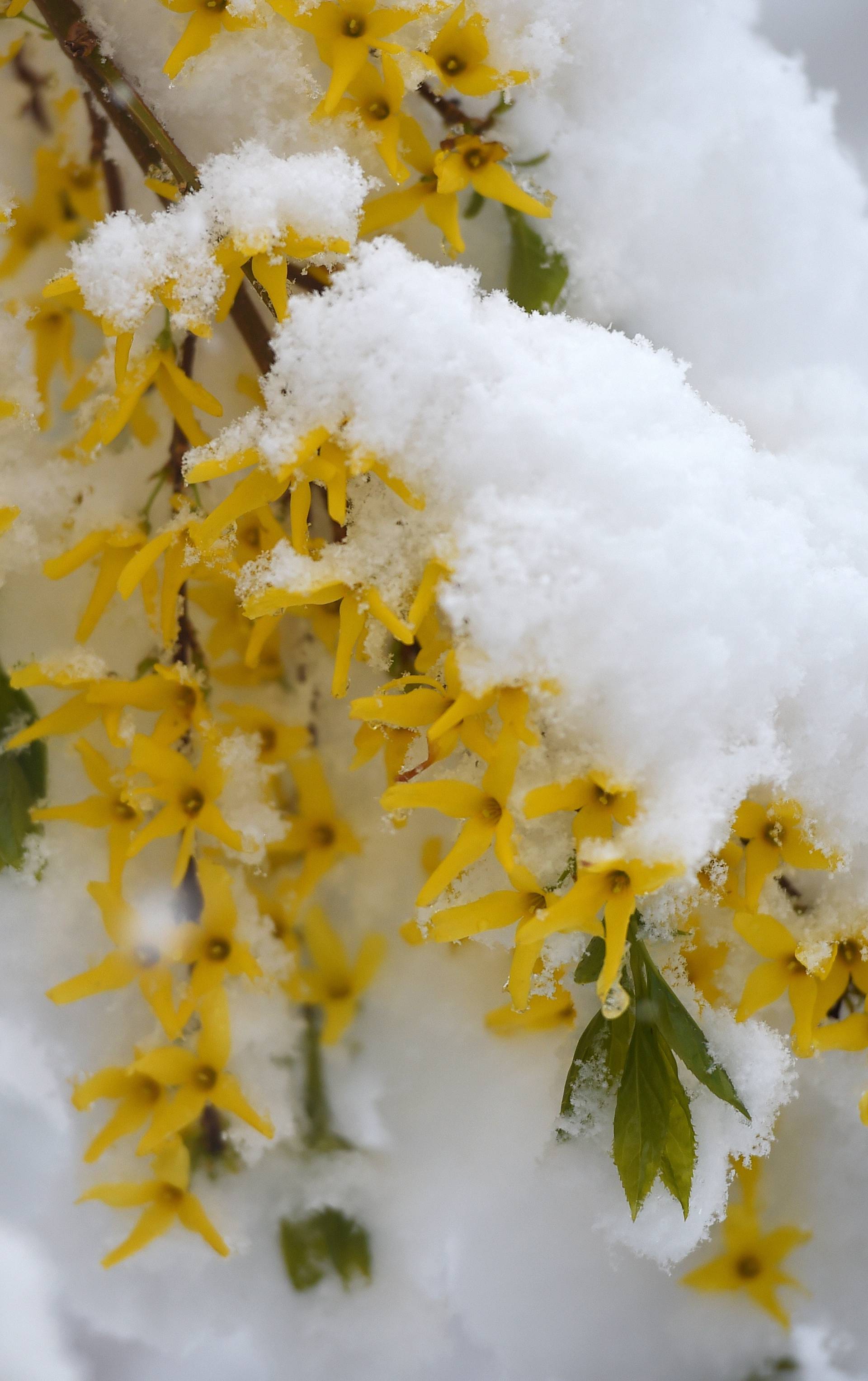 Arrival of winter in Bavaria