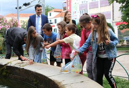 Kornjače u poznatoj šibenskoj fontani dobile društvo - 18 ribica