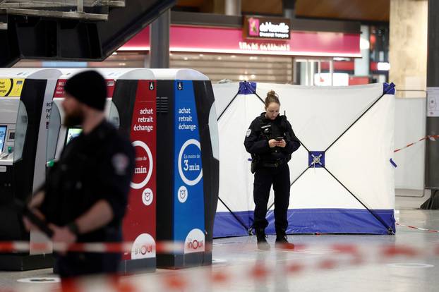 Man with knife wounds several at Paris' Gare du Nord station