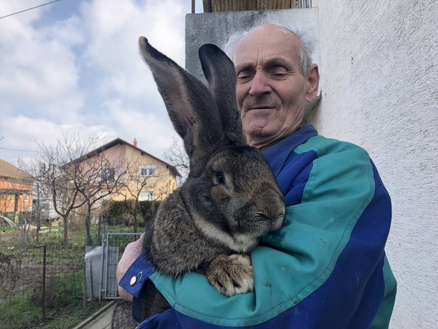 Medo je šampion: 'Najveći je u Hrvatskoj. Ne dam ga nizašto!'