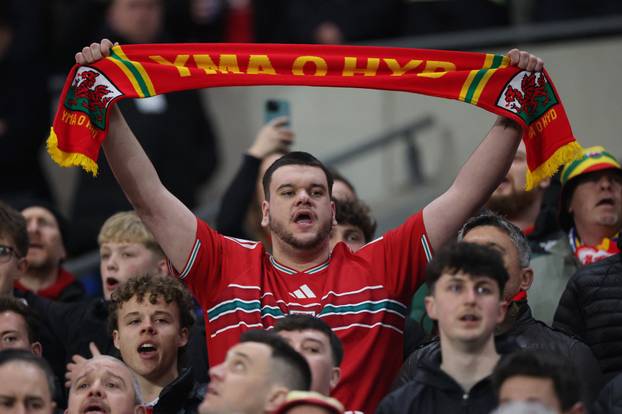 FIFA World Cup - UEFA Qualifiers - Semi Final - Wales v Bosnia and Herzegovina