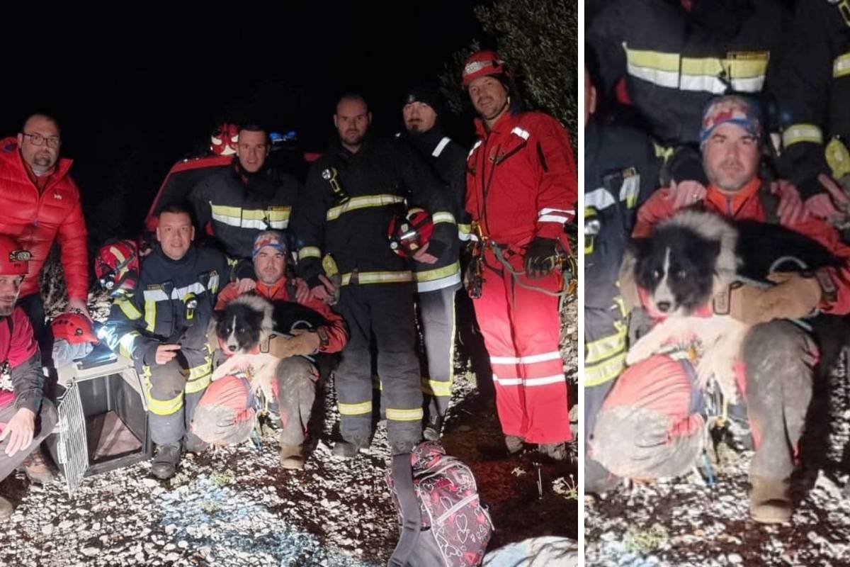 Vatrogasci i HGSS sinoć na Braču spasili psa iz jame: 'Čulo se cviljenje, bila je isprepadana'