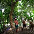 Brazil odlučio djelovati: Šalju vojsku radi zaštite Amazonije