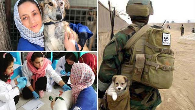 Godinama spašavali životinje, a sad treba spasiti njih: 'Nemojte ih ostaviti na milost talibanima'
