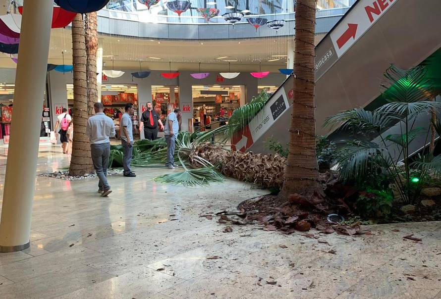 Palma tresnula u Westgateu: 'Užas, mogla je pasti na ljude'