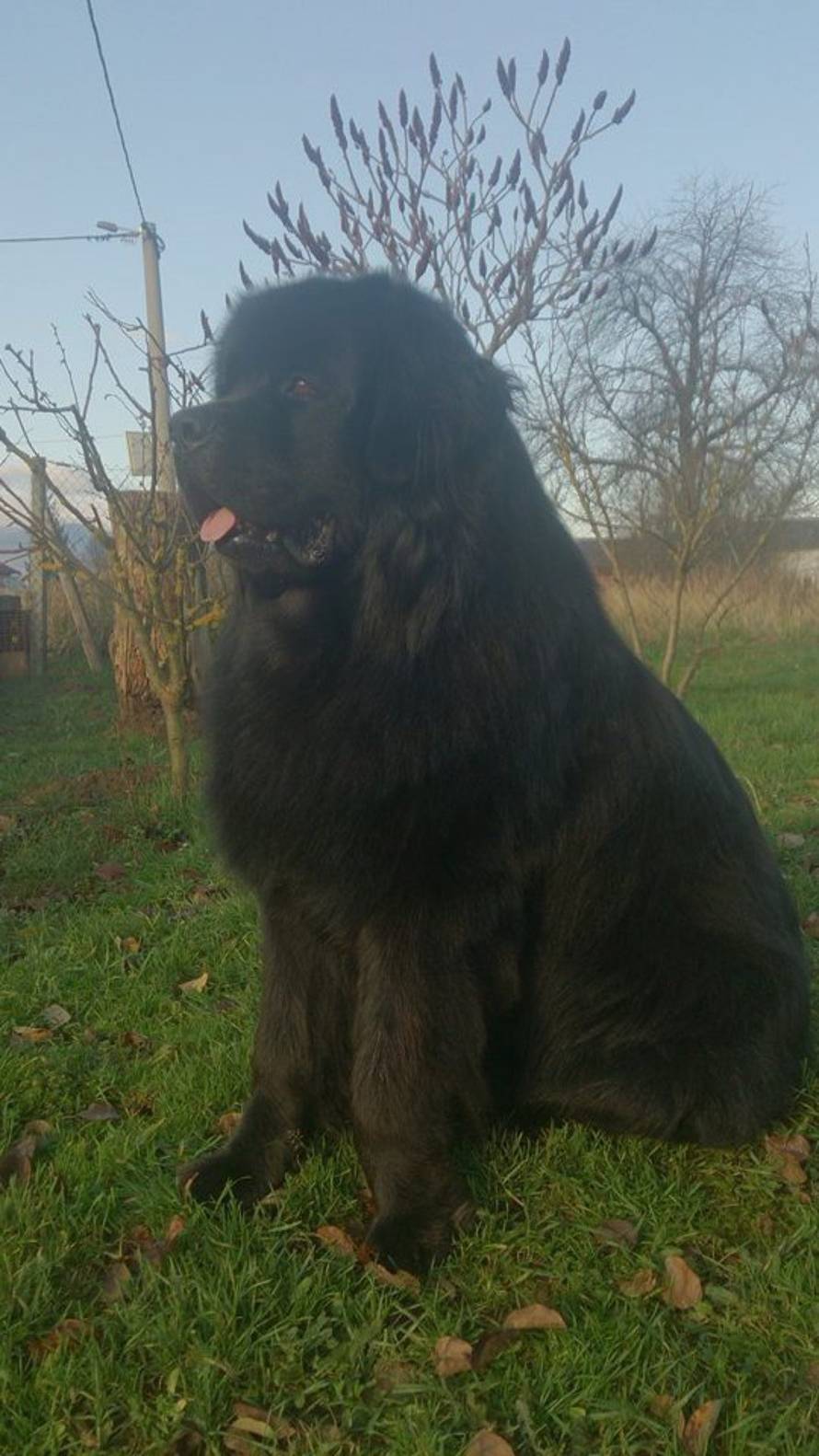 24ljubimci/Fotografije čitatelja