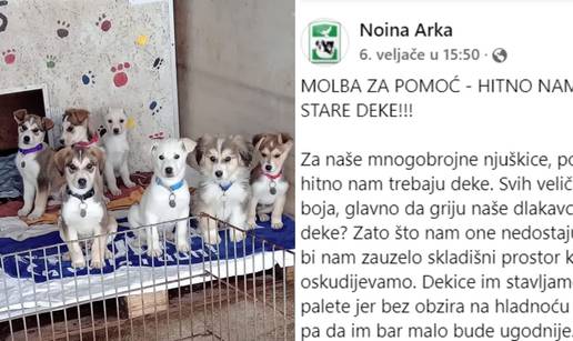 Pomozite preslatkim psima iz Noine Arke: Ako imate stare deke odnesite ih u sklonište