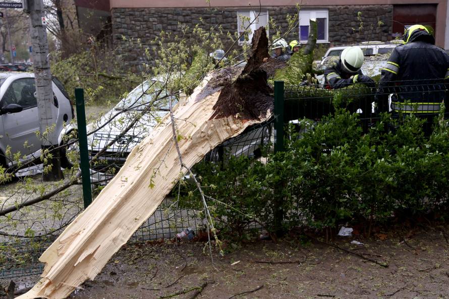 Zagreb:  Nevrijeme i jak vjetar ruše drveće koje pada po automobilima 