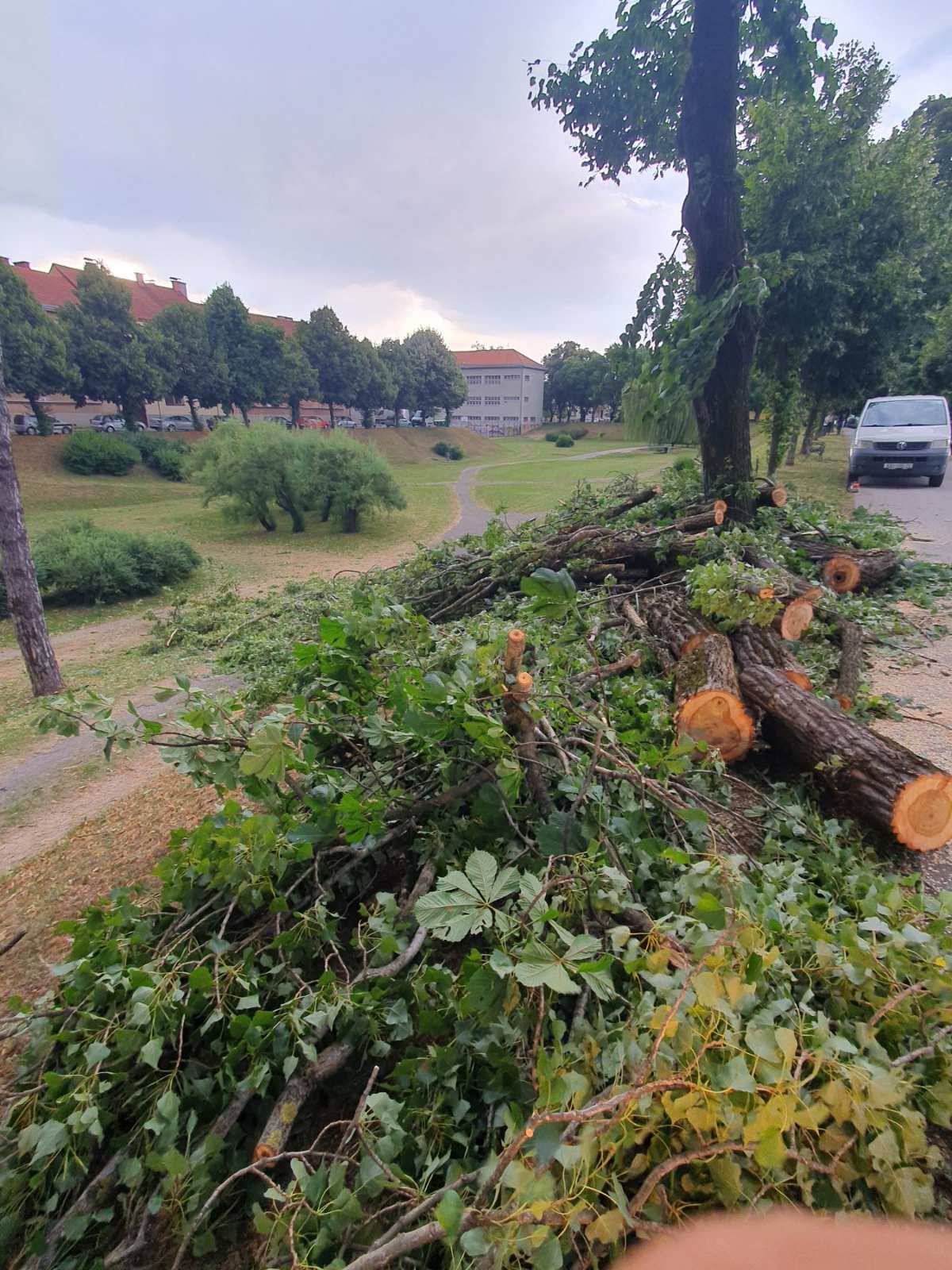 FOTO Nevrijeme u Karlovcu: Jak vjetar u par minuta napravio kaos, porušena brojna stabla