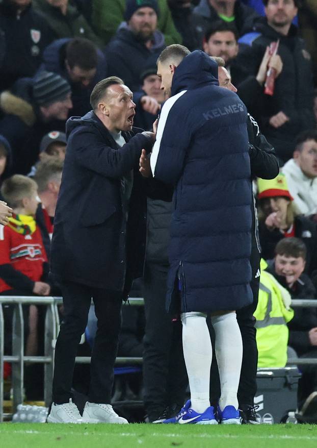 FIFA World Cup - UEFA Qualifiers - Semi Final - Wales v Bosnia and Herzegovina