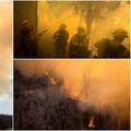 Požari divljaju zapadom SAD-a: Neki manji gradovi su spaljeni