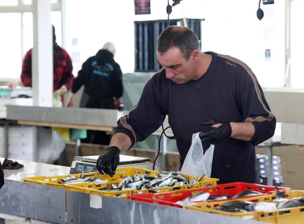 Šibenik: Skromna ponuda srdela i ostale ribe na ribarnici