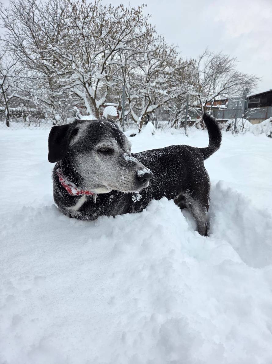 Općinska komunalka sama 'izlopatala' snijeg sa staze: 'Nema nikakve drame u tome'