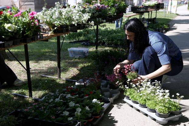 U Dugom selu održan je sajam cvijeća