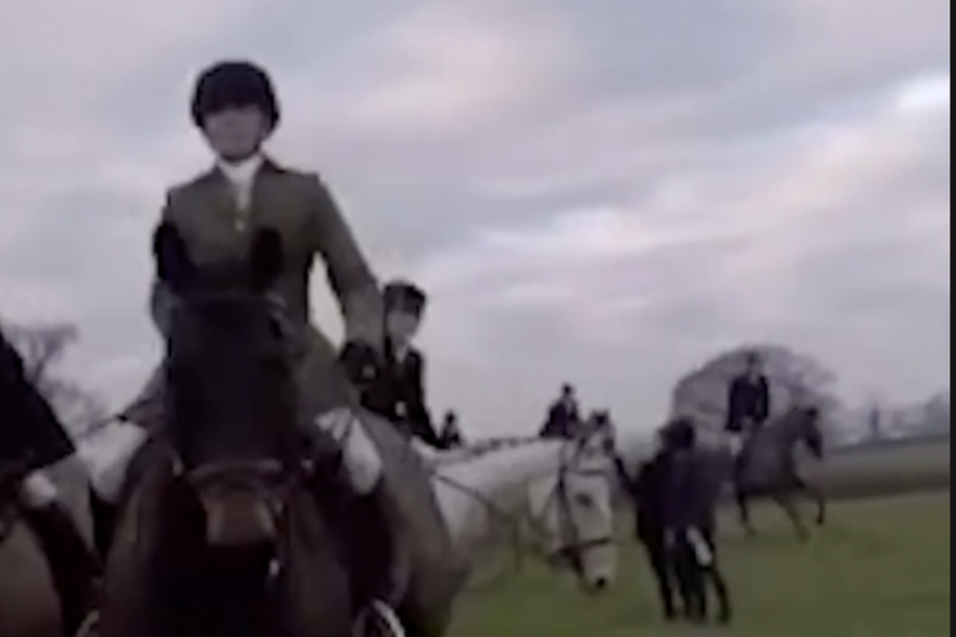 Sve je snimio: Aktivist se borio protiv lova pa je pregažen u konjskom stampedu
